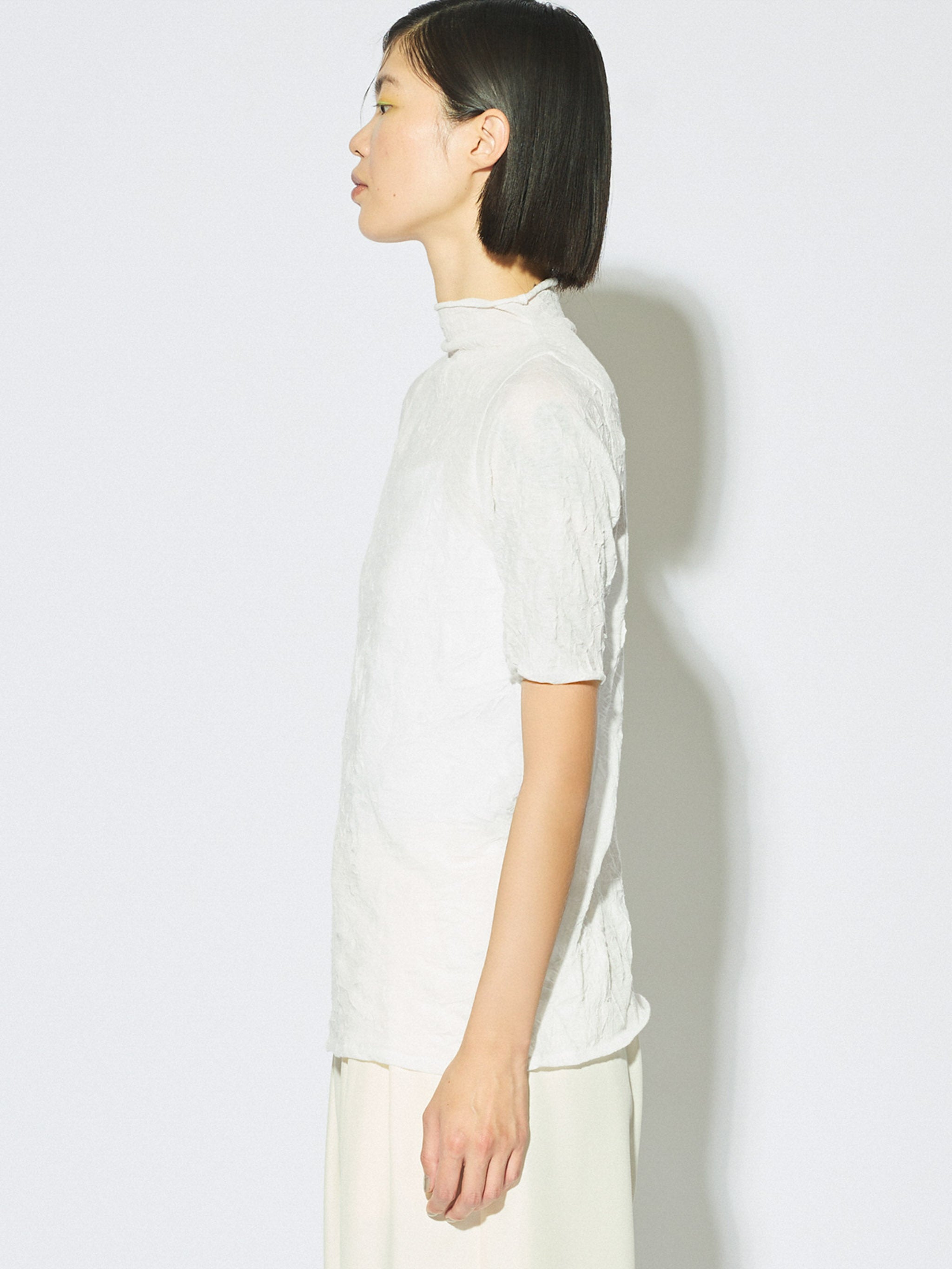 sheer high neck sleeve inner