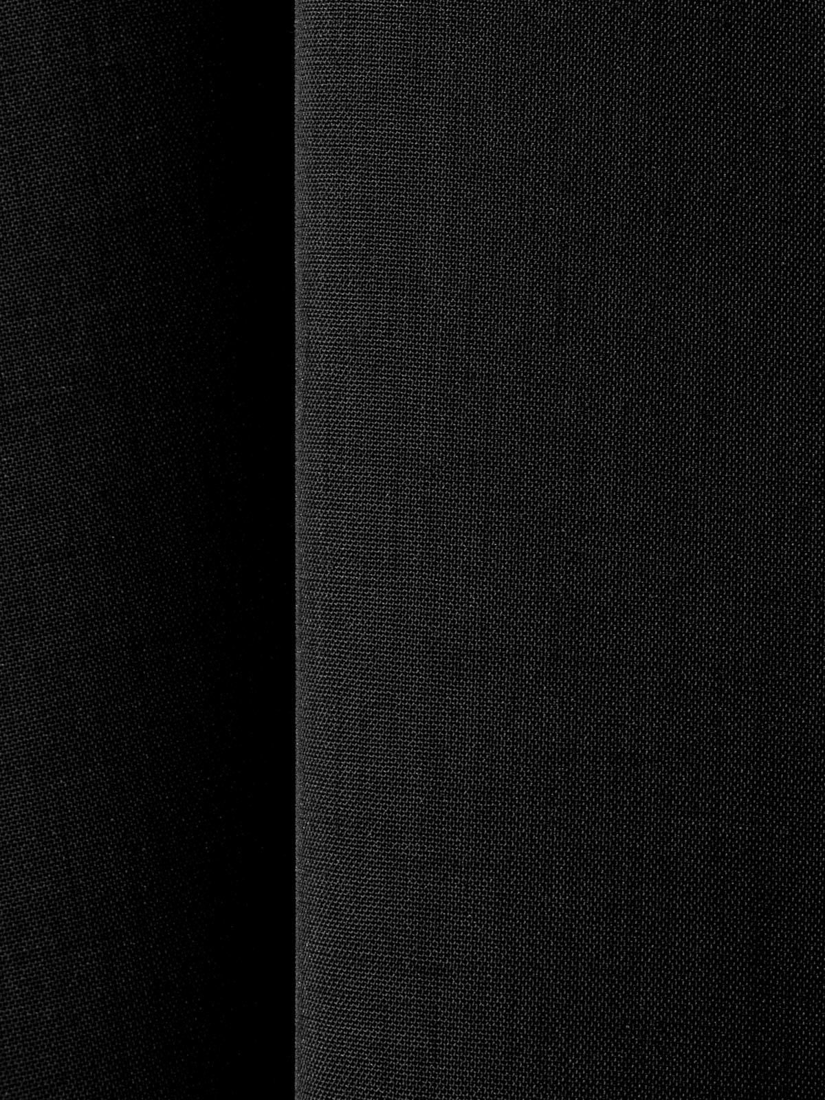 flare slv sheer shirt