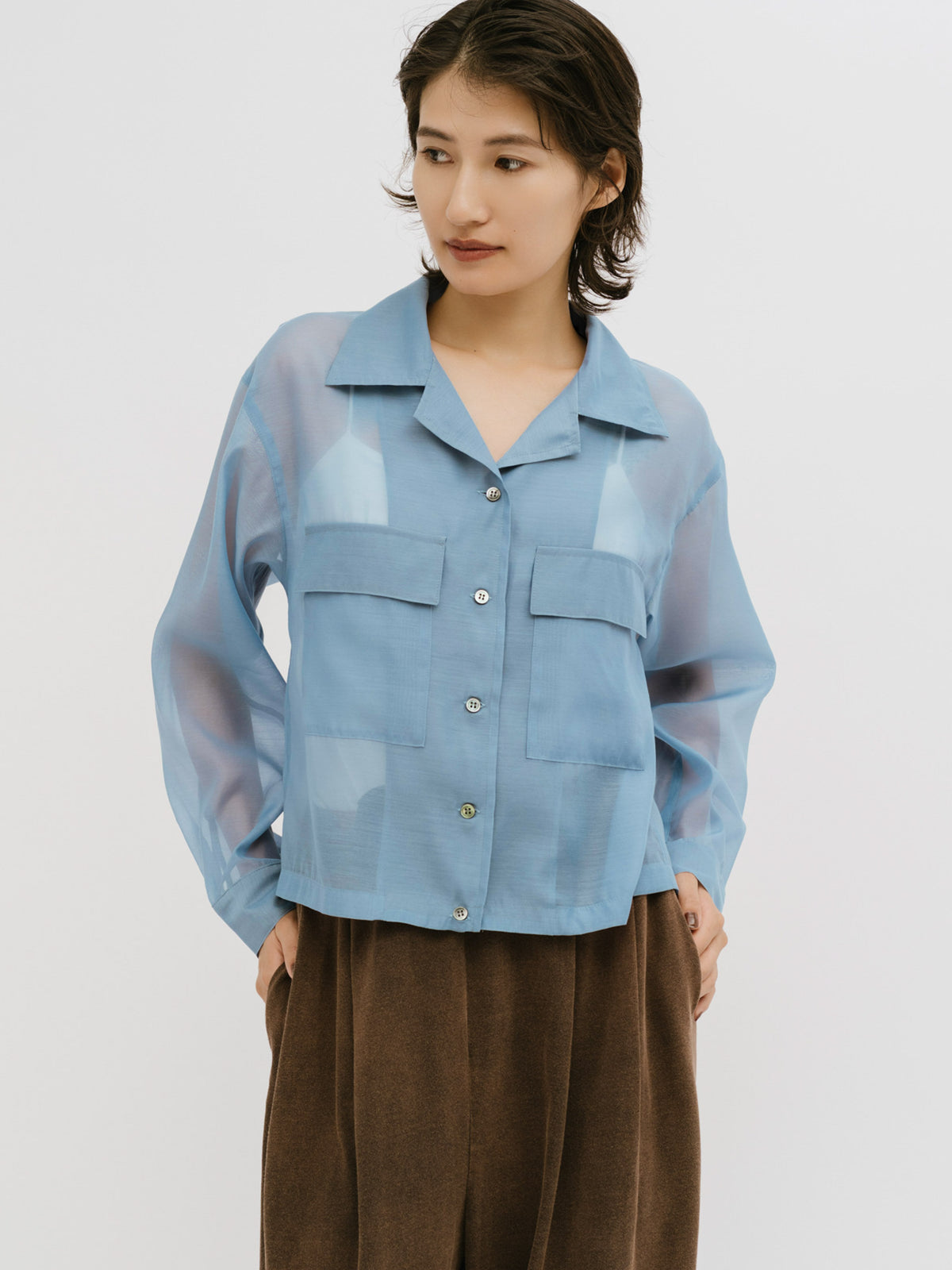 open collar sheer shirt