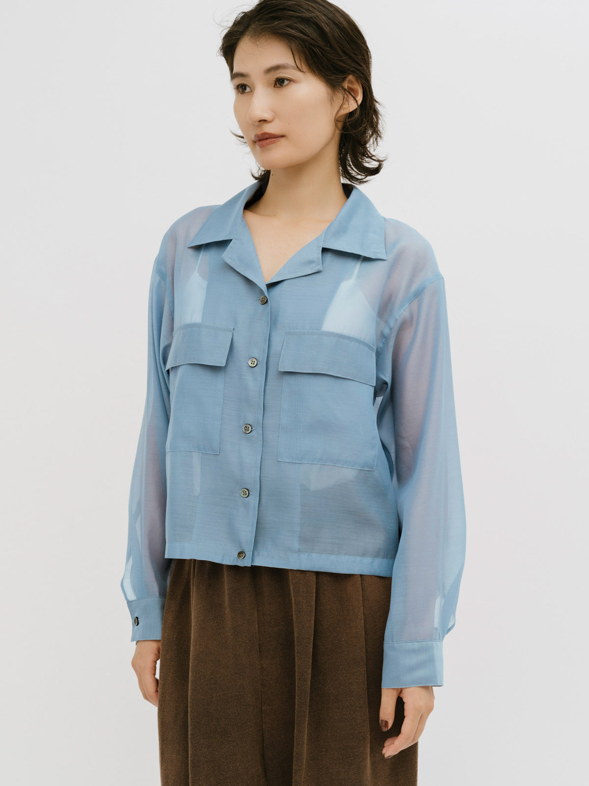 open collar sheer shirt