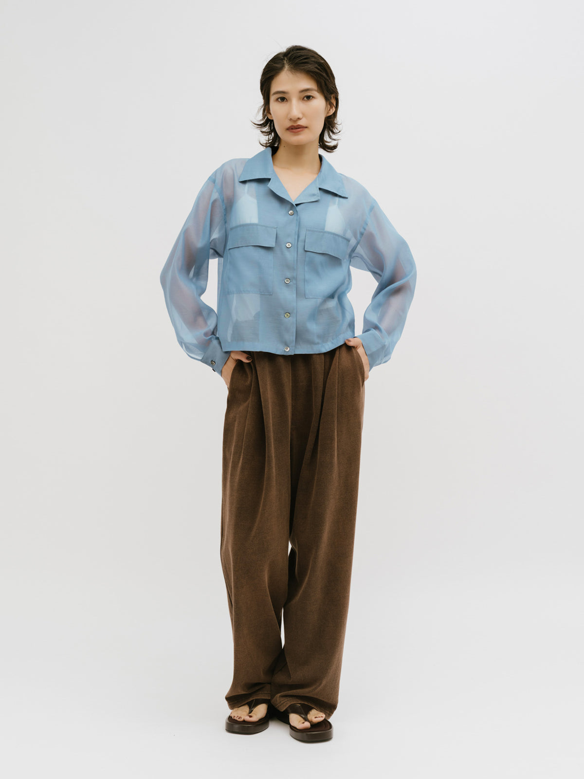 open collar sheer shirt