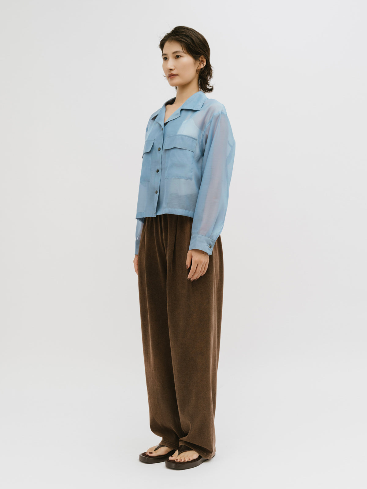 open collar sheer shirt