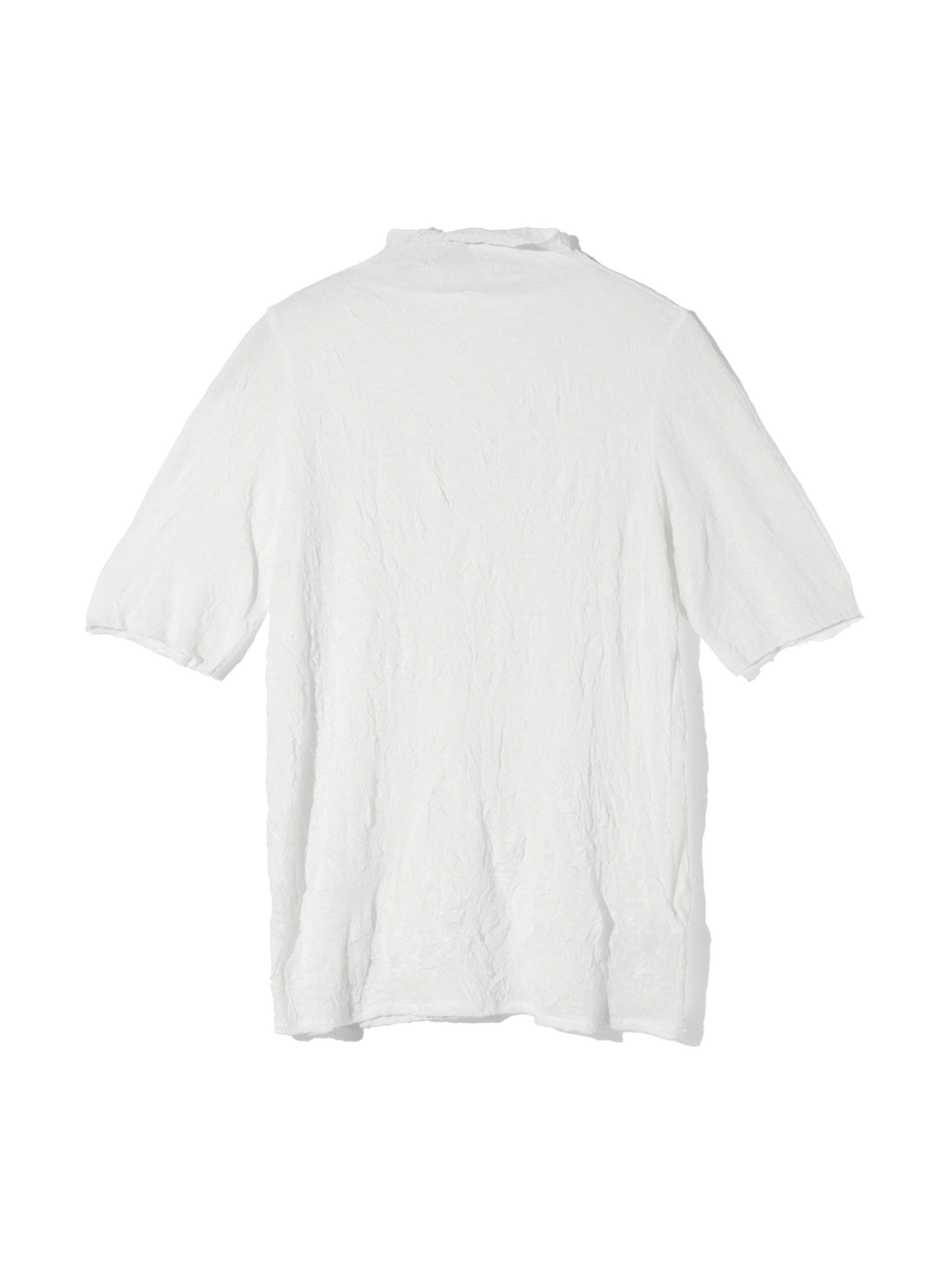 sheer high neck sleeve inner