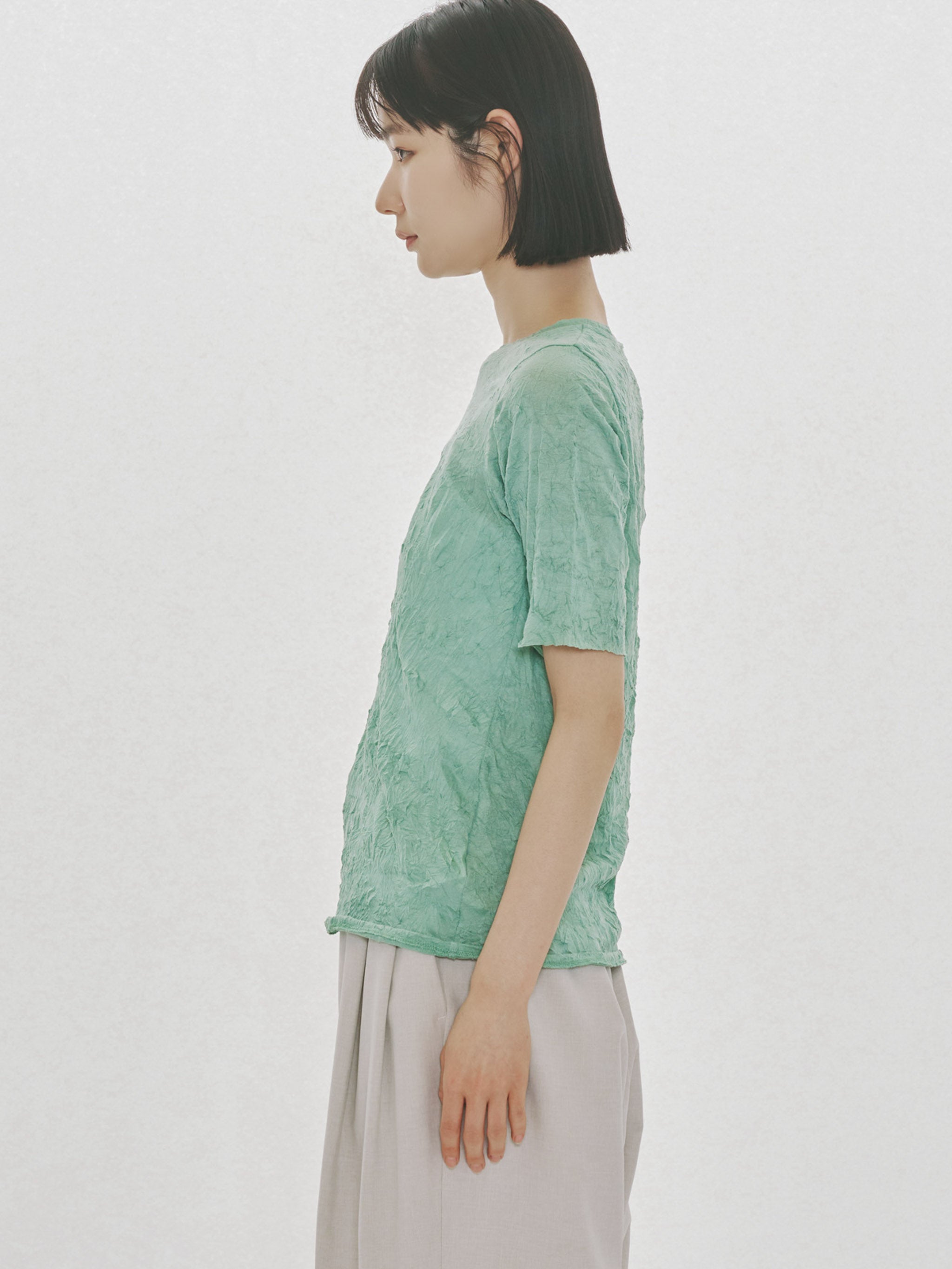 see-through crew neck half slv inner