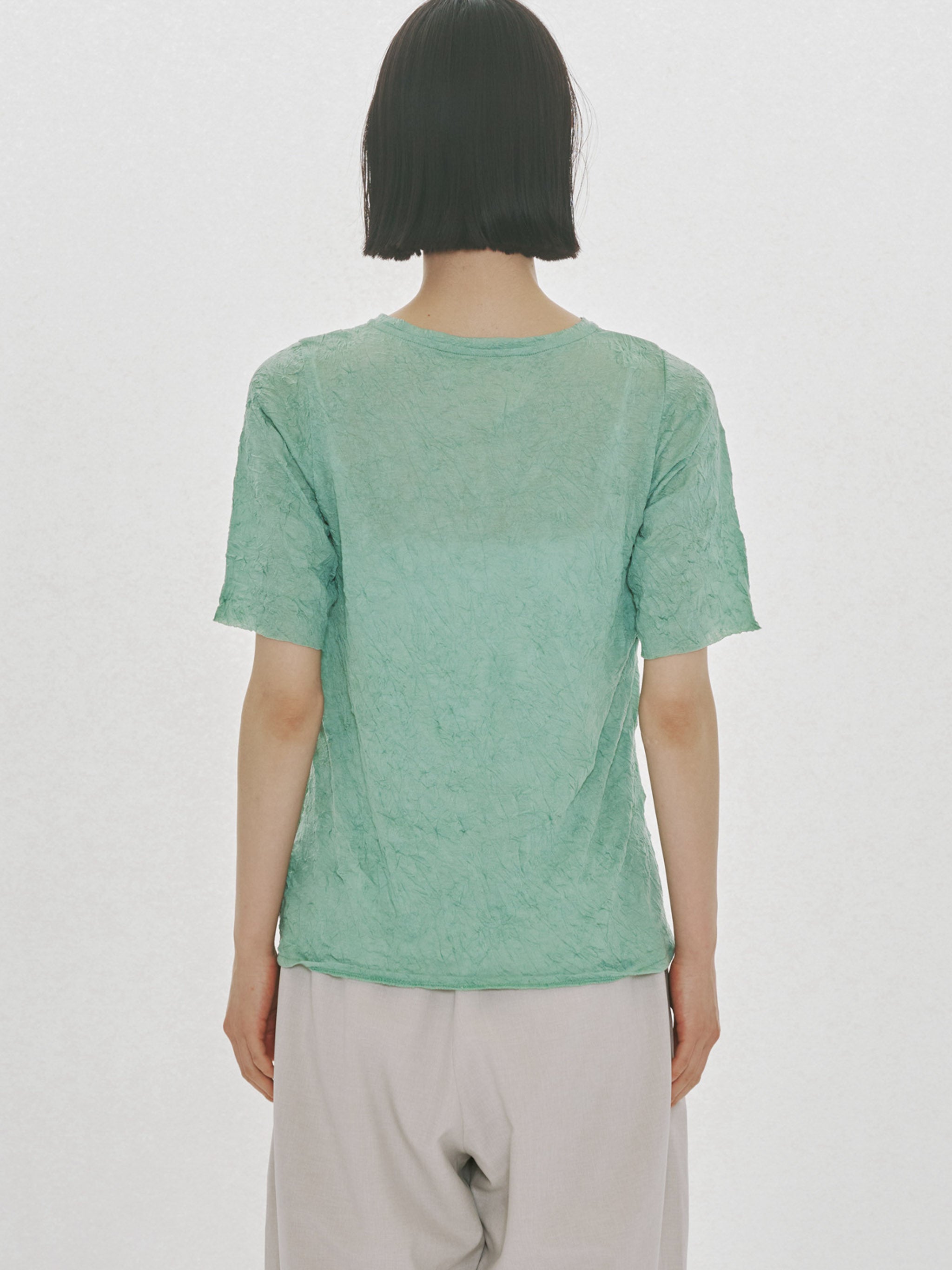 see-through crew neck half slv inner