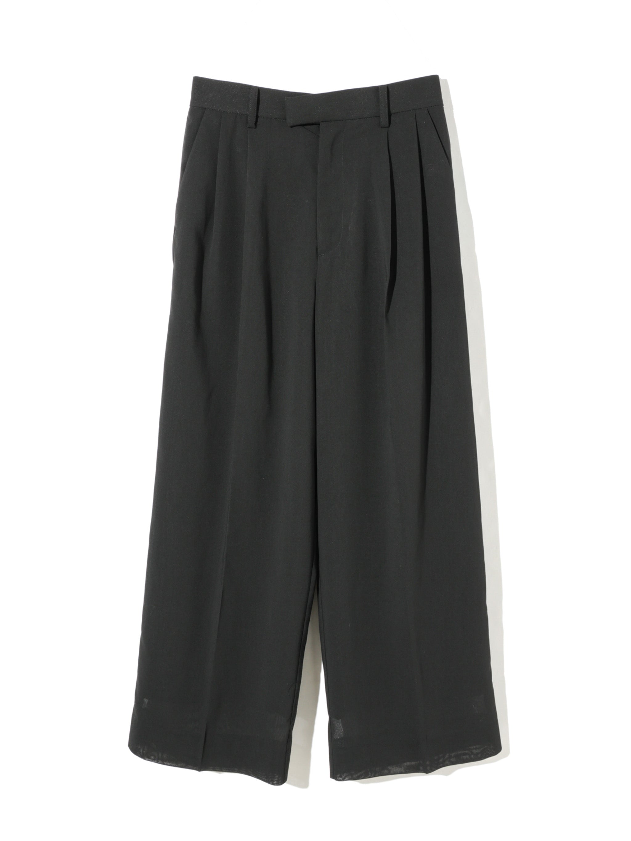 sheer wide slacks