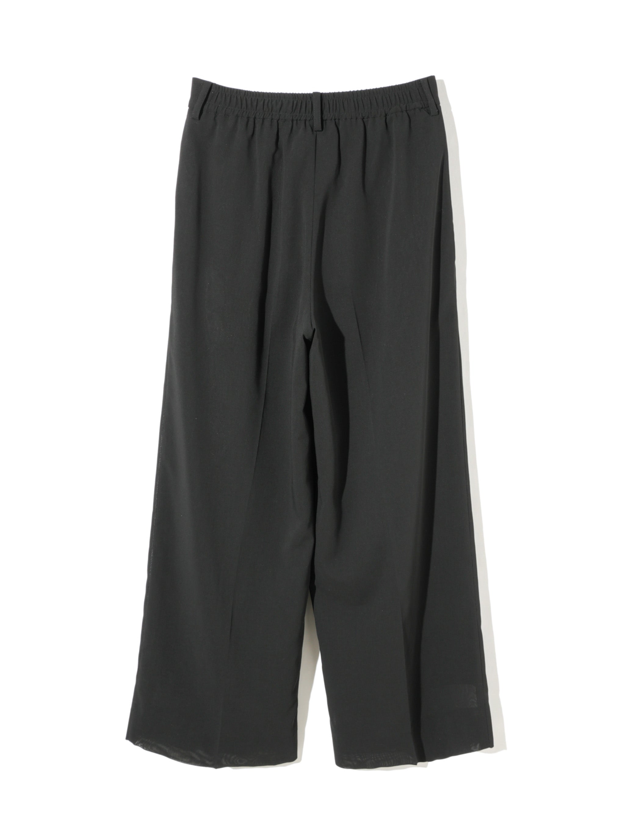 sheer wide slacks
