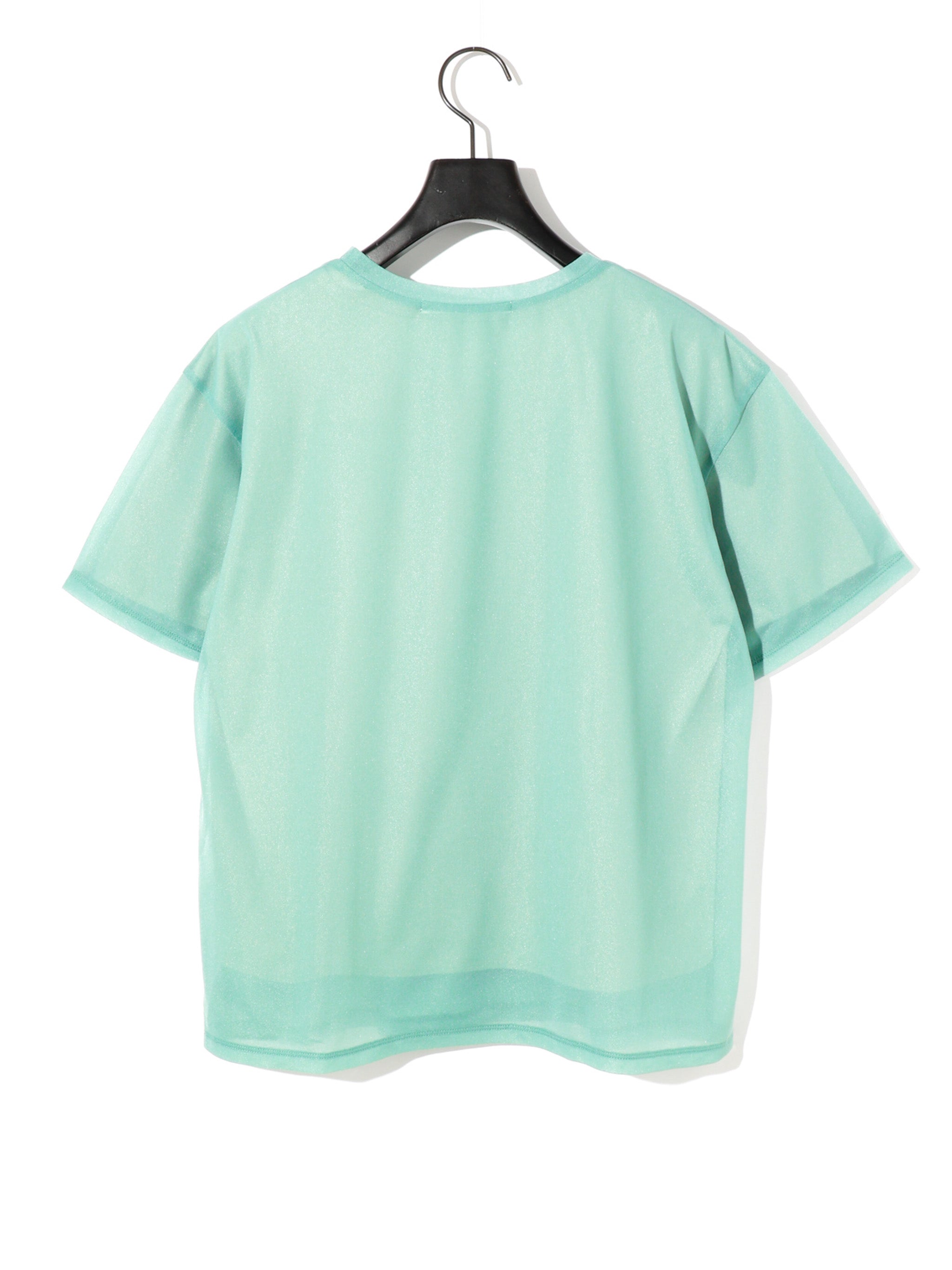sheer layered pullover[A]