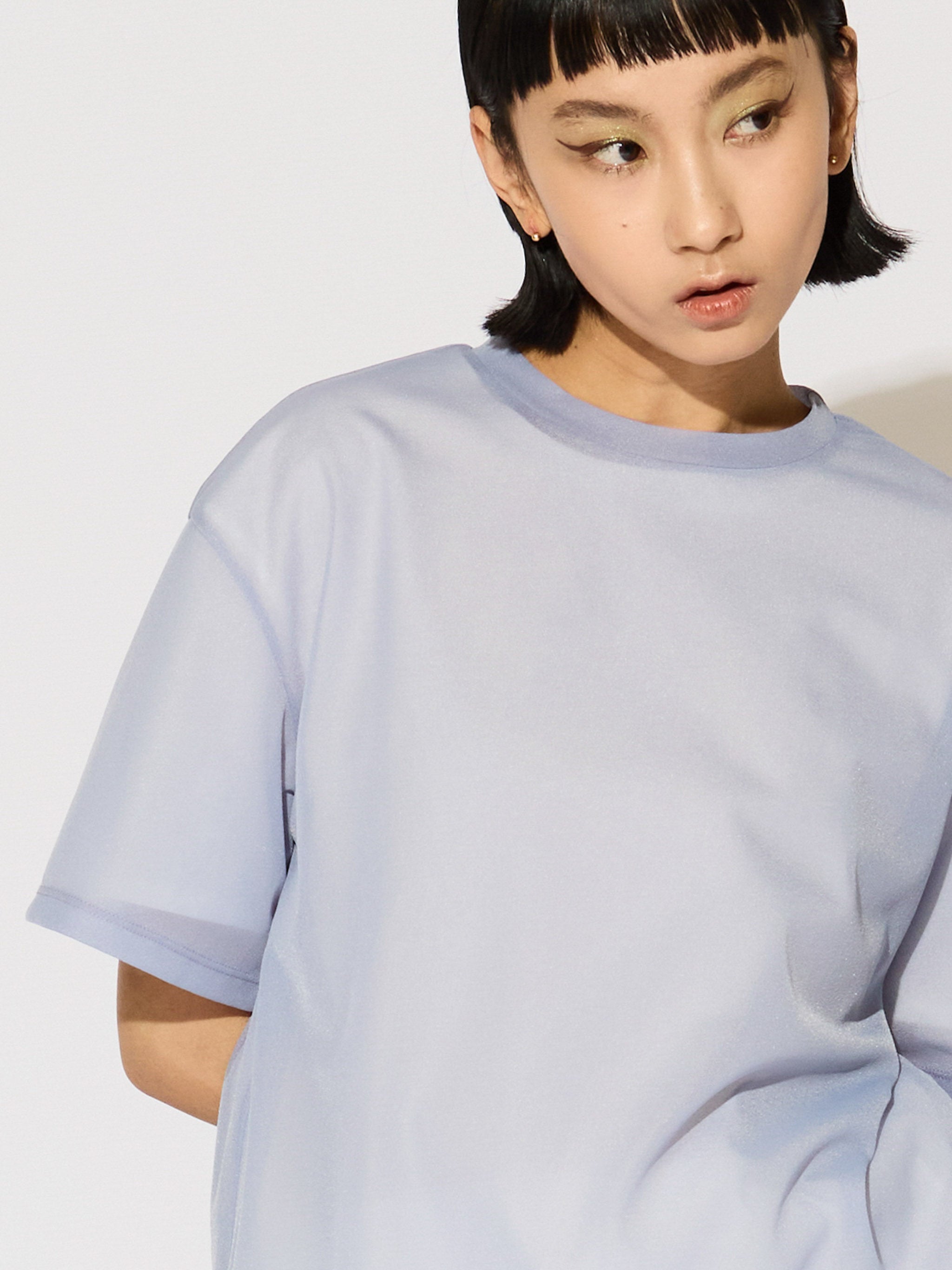 sheer layered pullover[A]