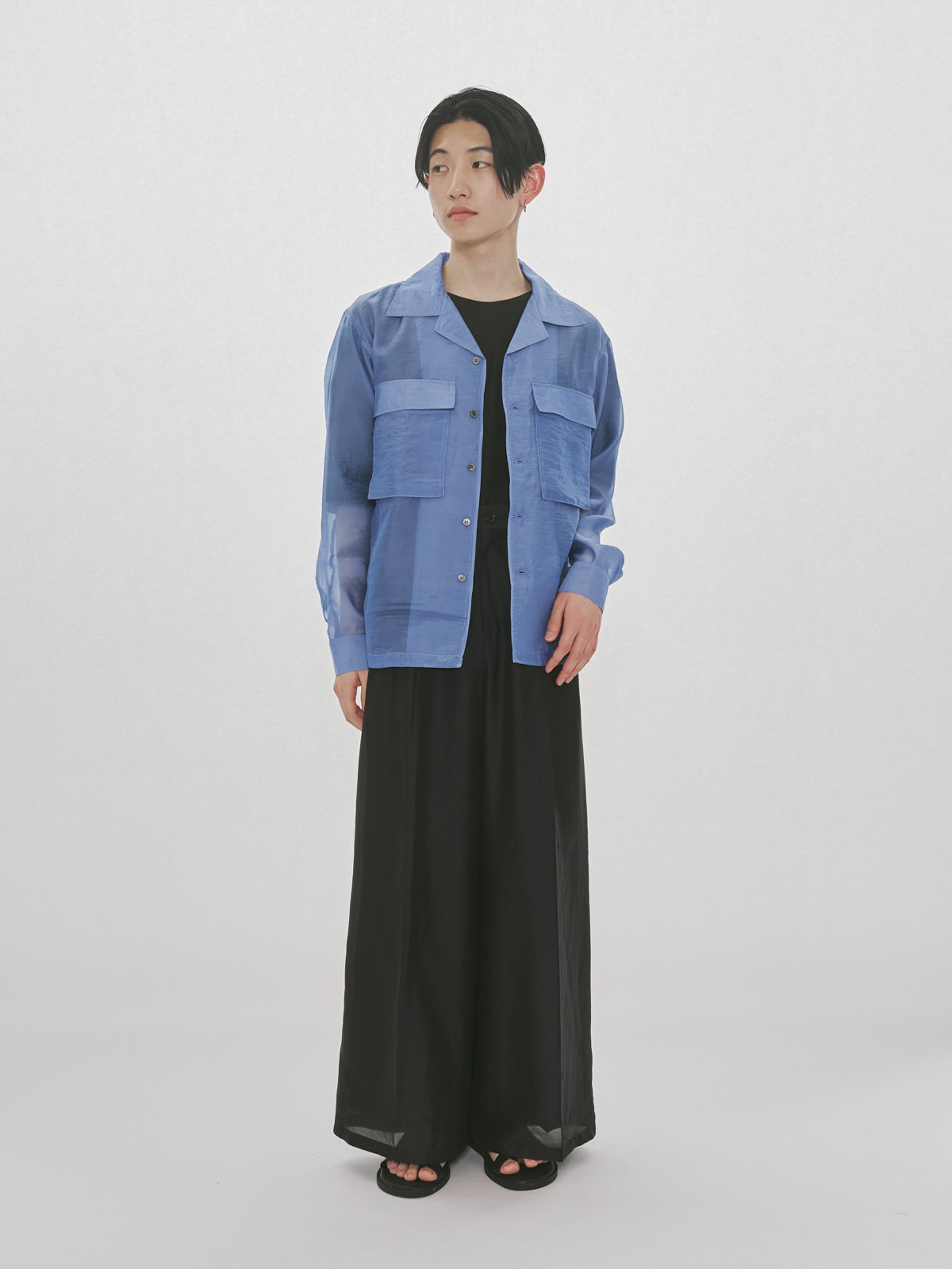 sheer open collar shirt