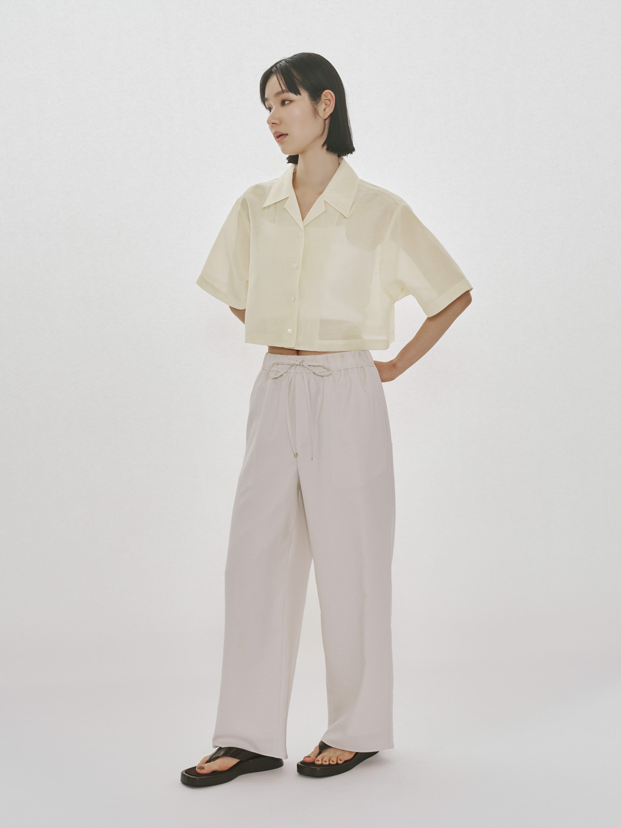sheer open collar shirt