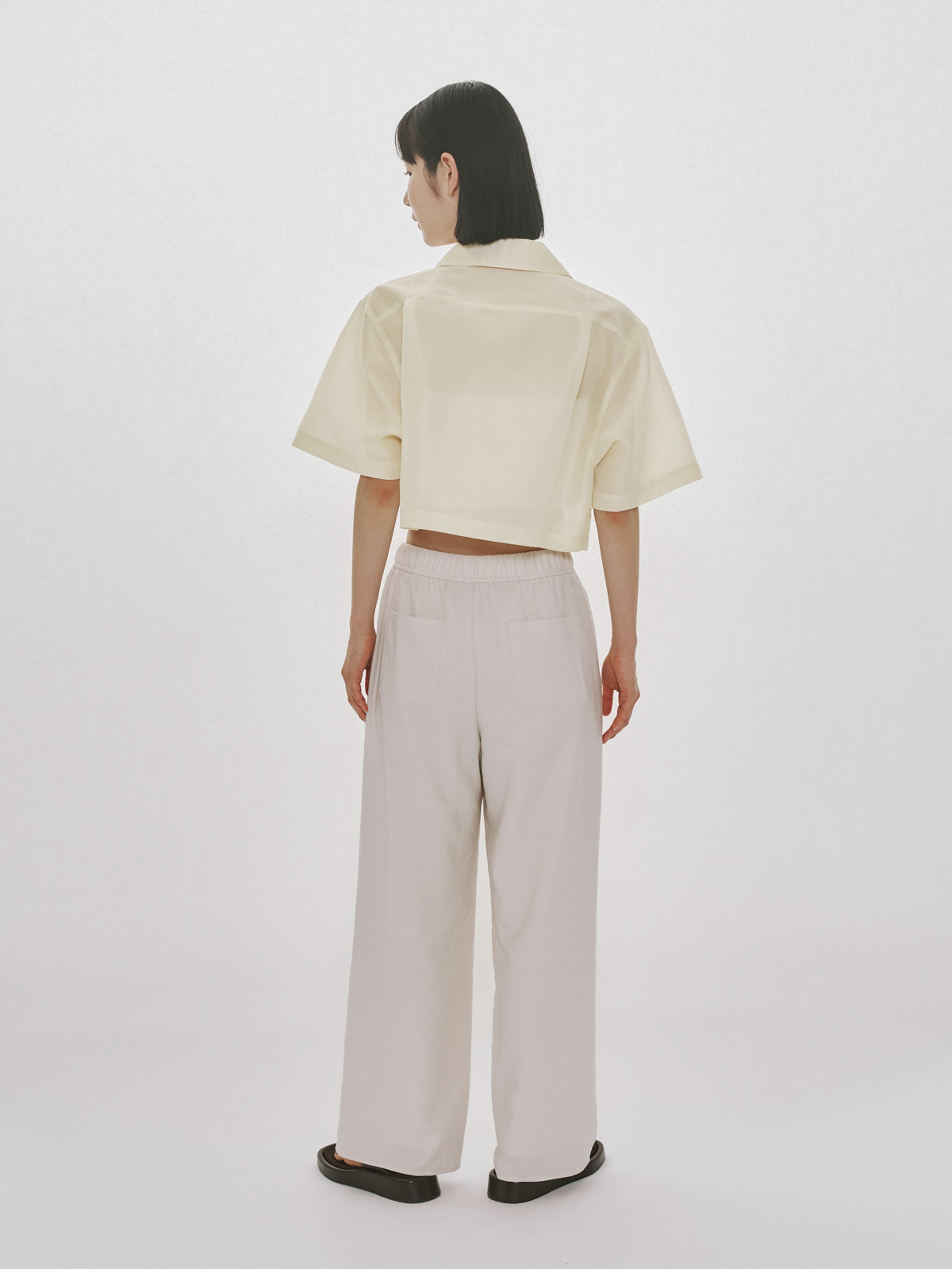 sheer open collar shirt