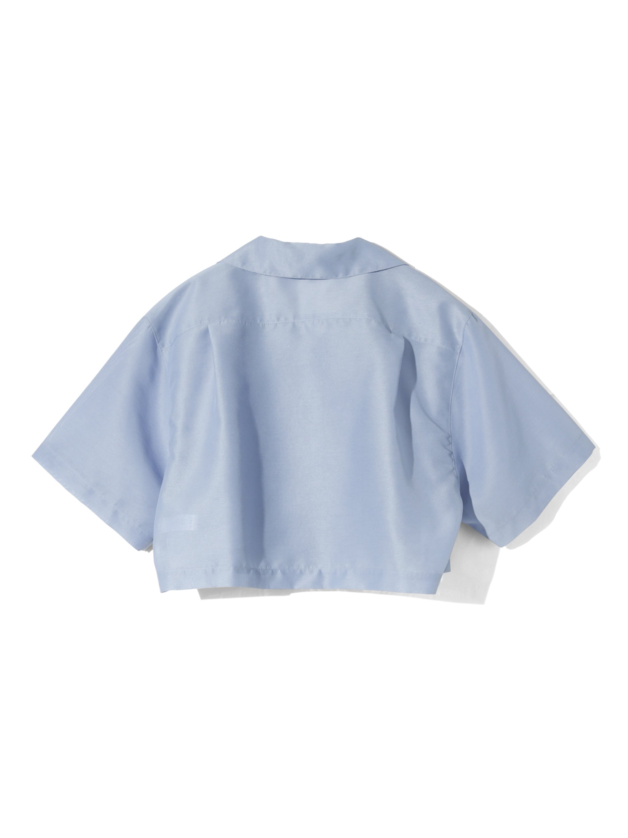 sheer open collar shirt