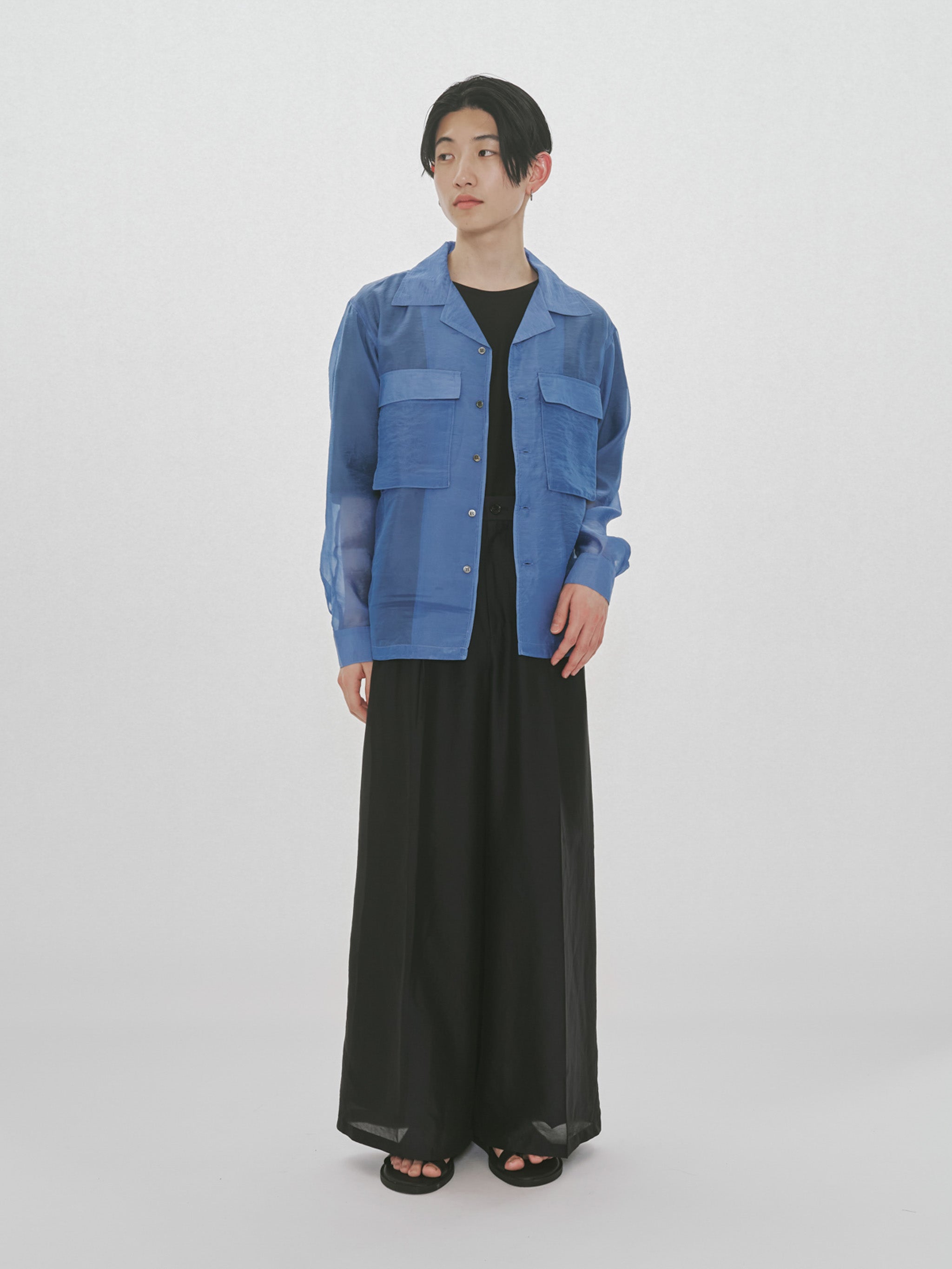 sheer straight slacks