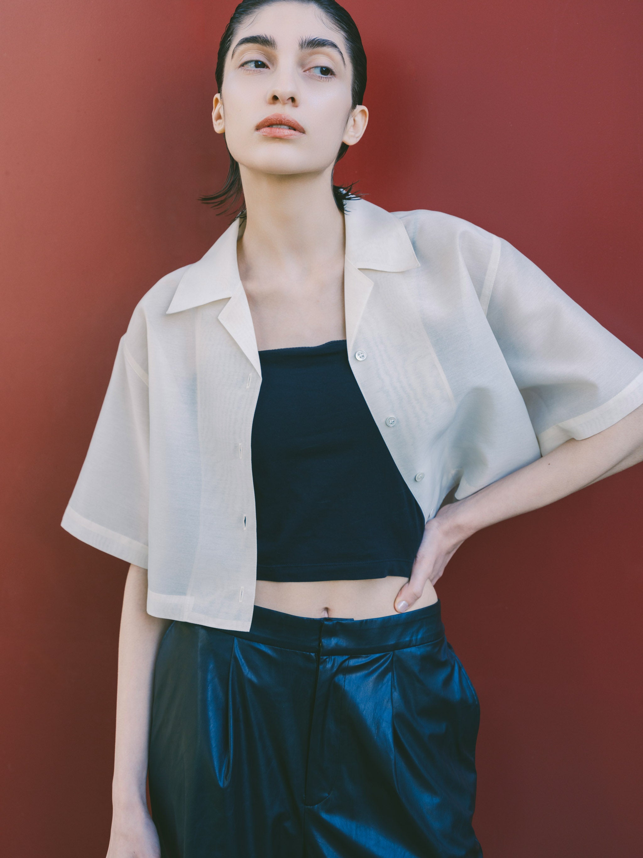 sheer open collar shirt