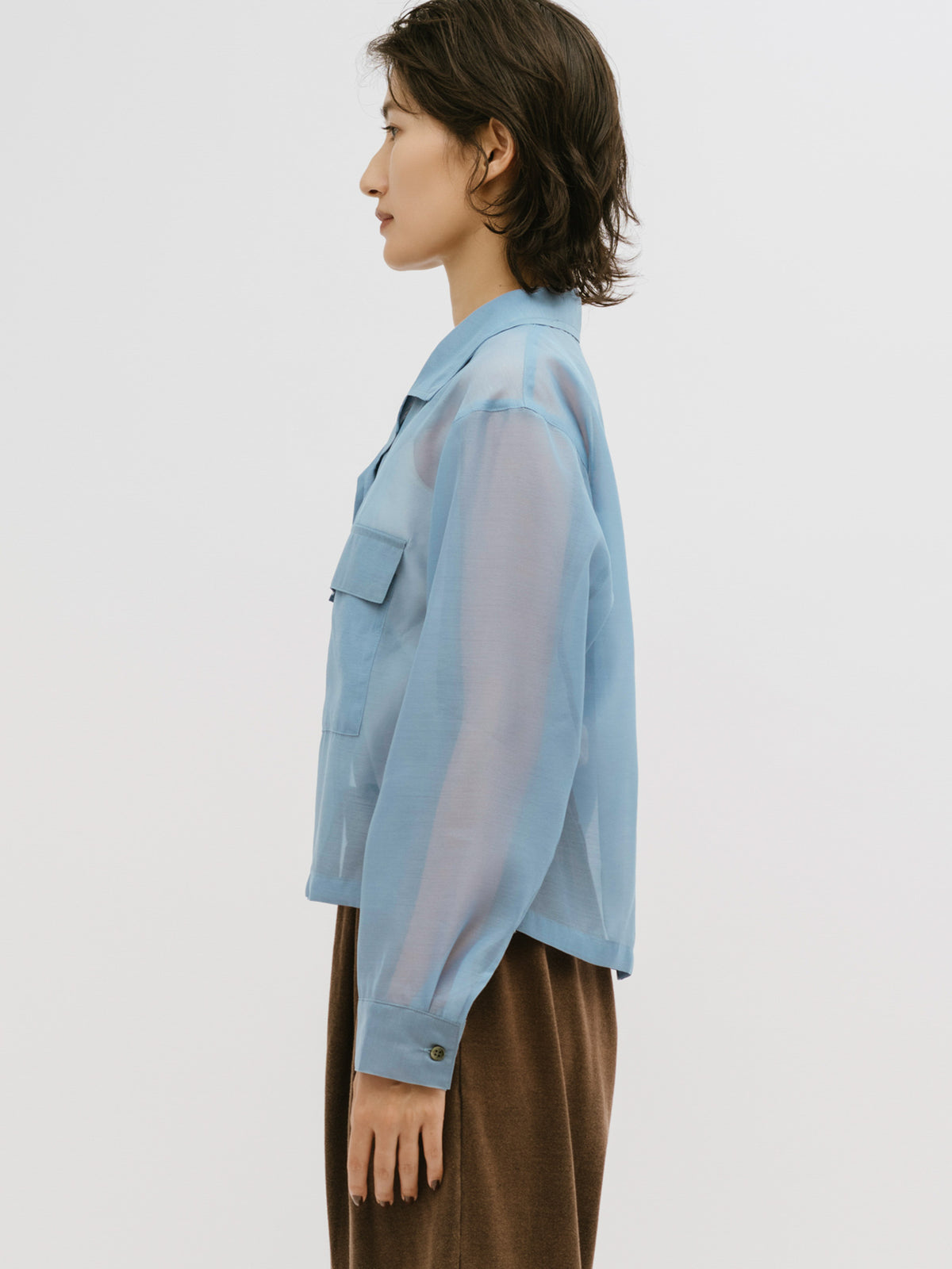 open collar sheer shirt