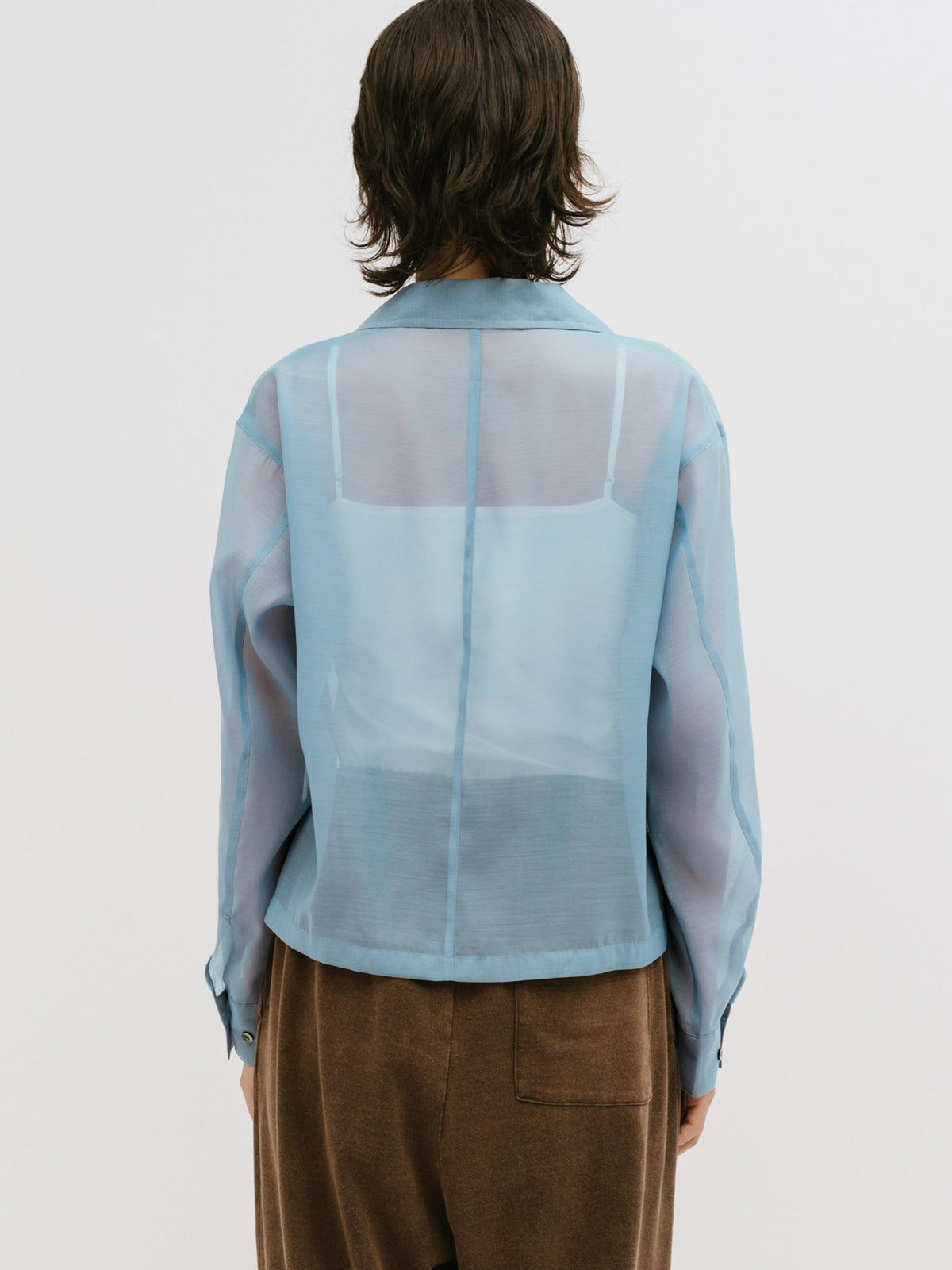 open collar sheer shirt