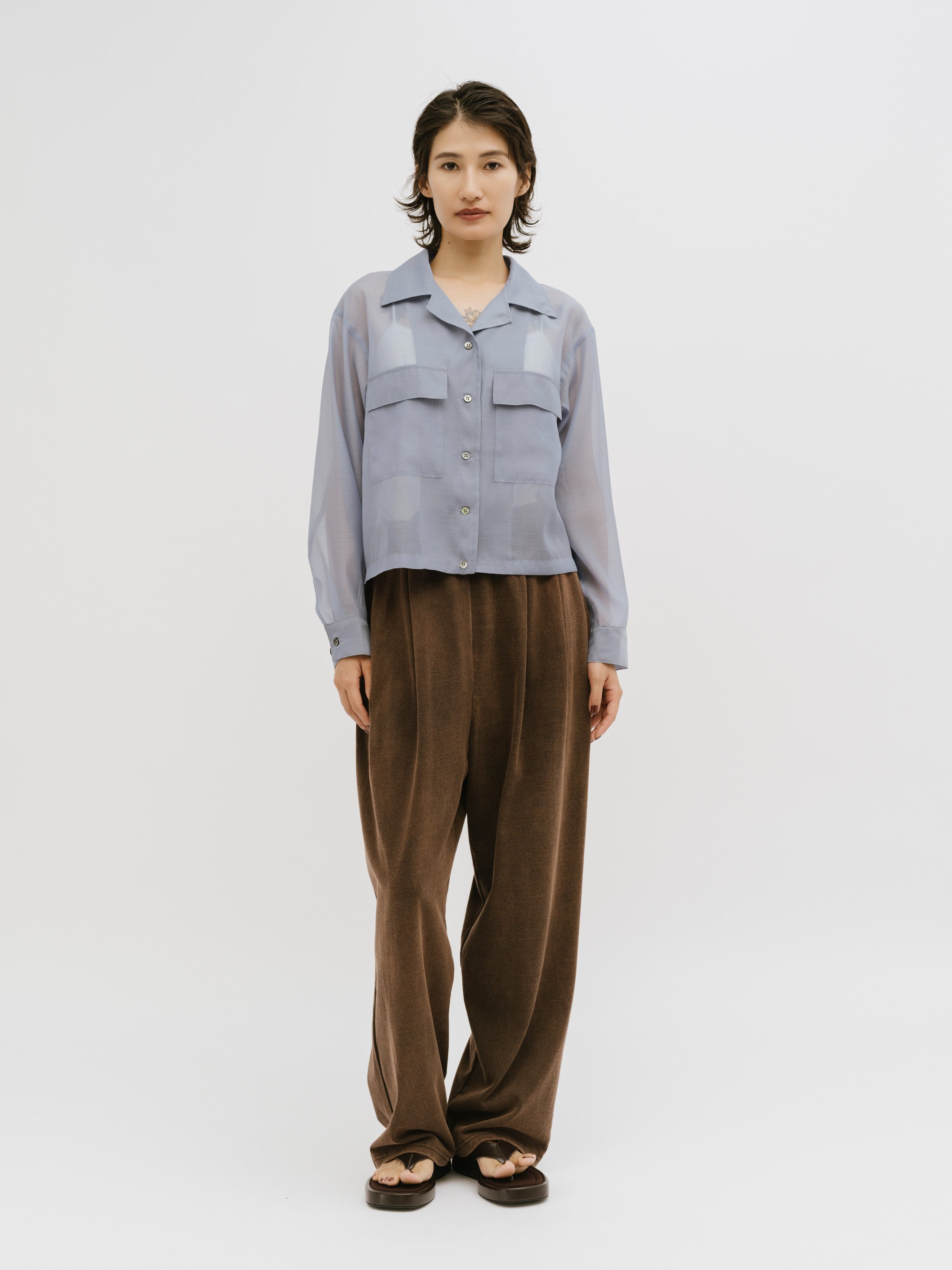 open collar sheer shirt