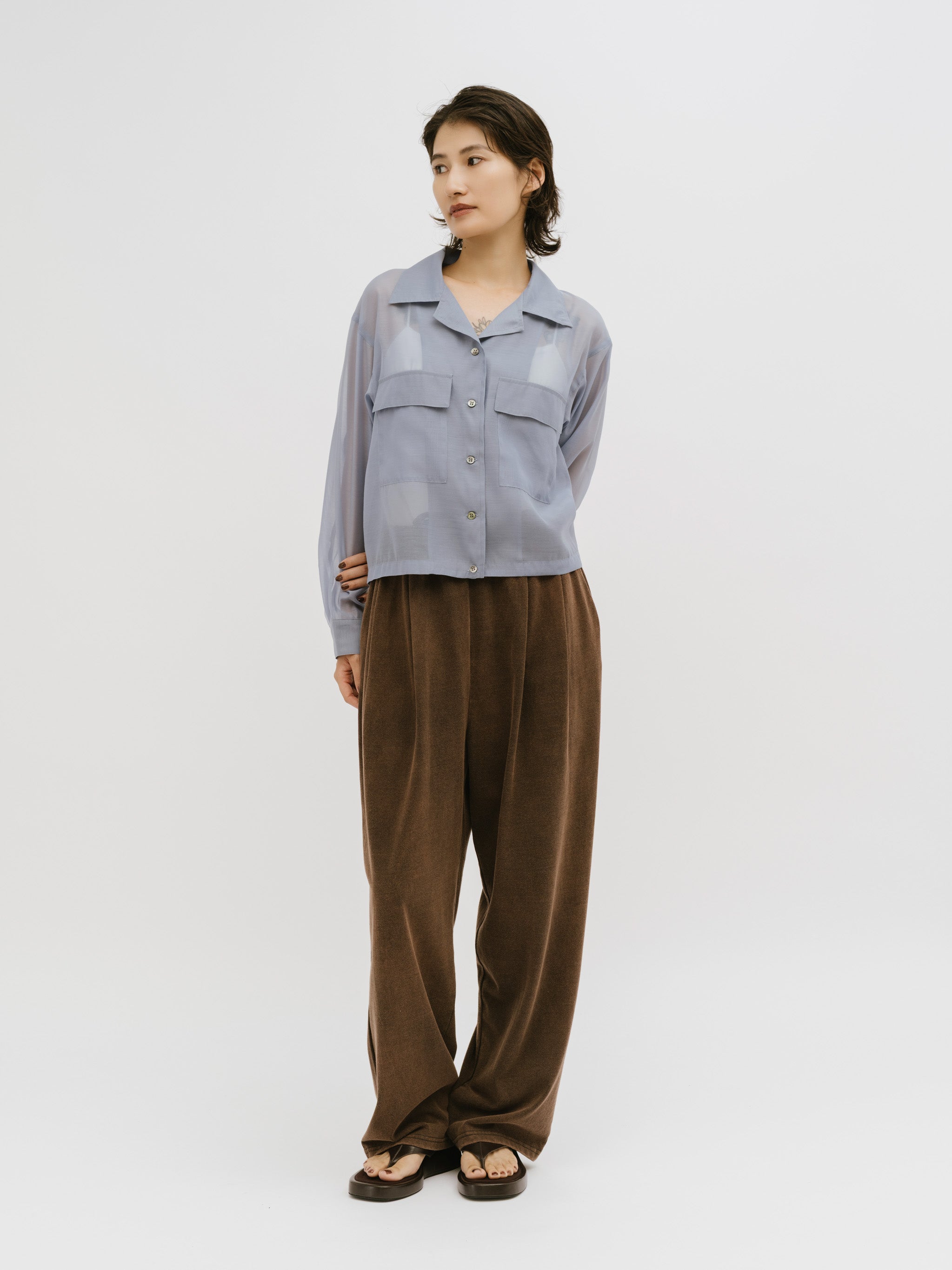open collar sheer shirt