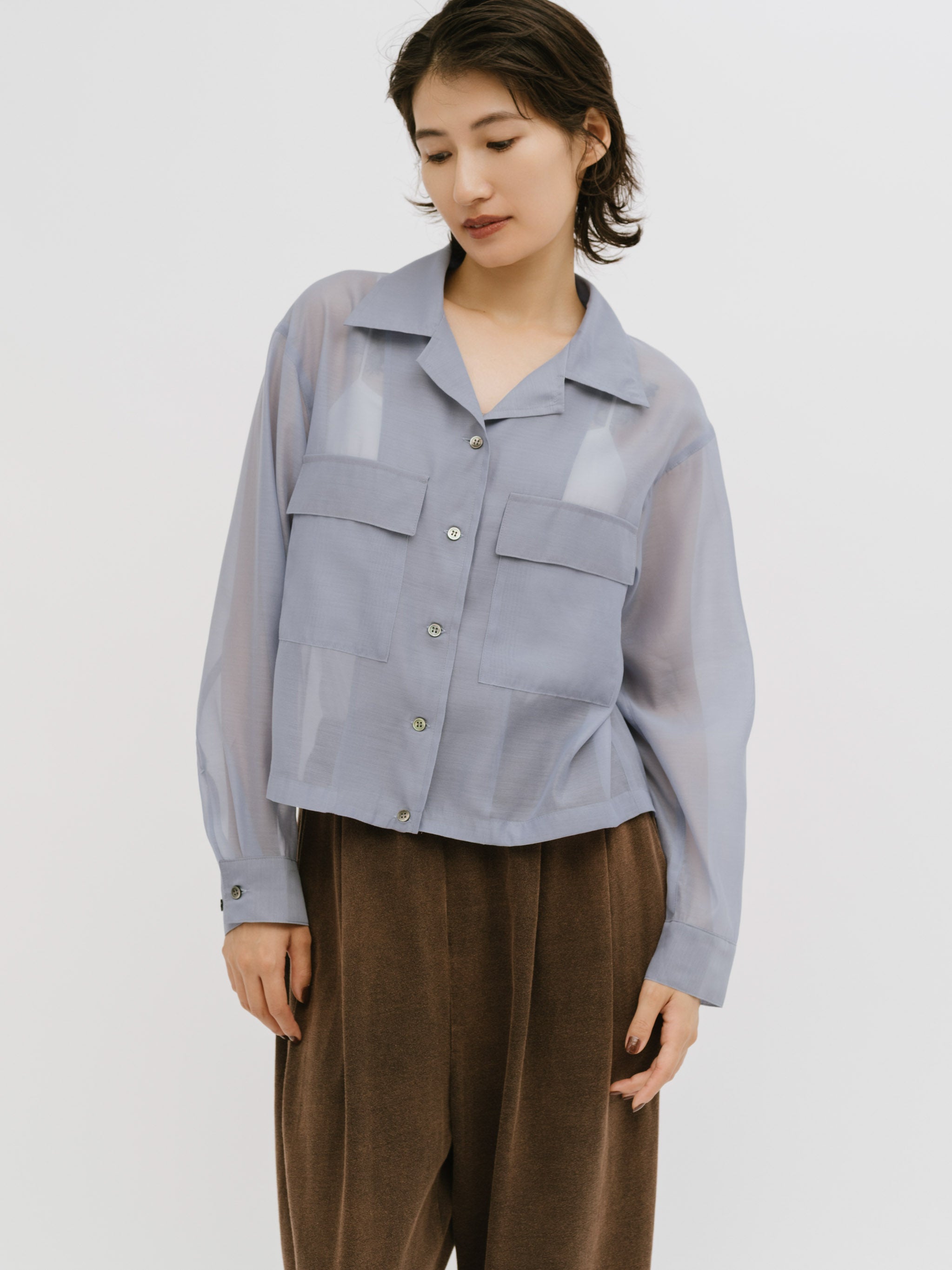 open collar sheer shirt