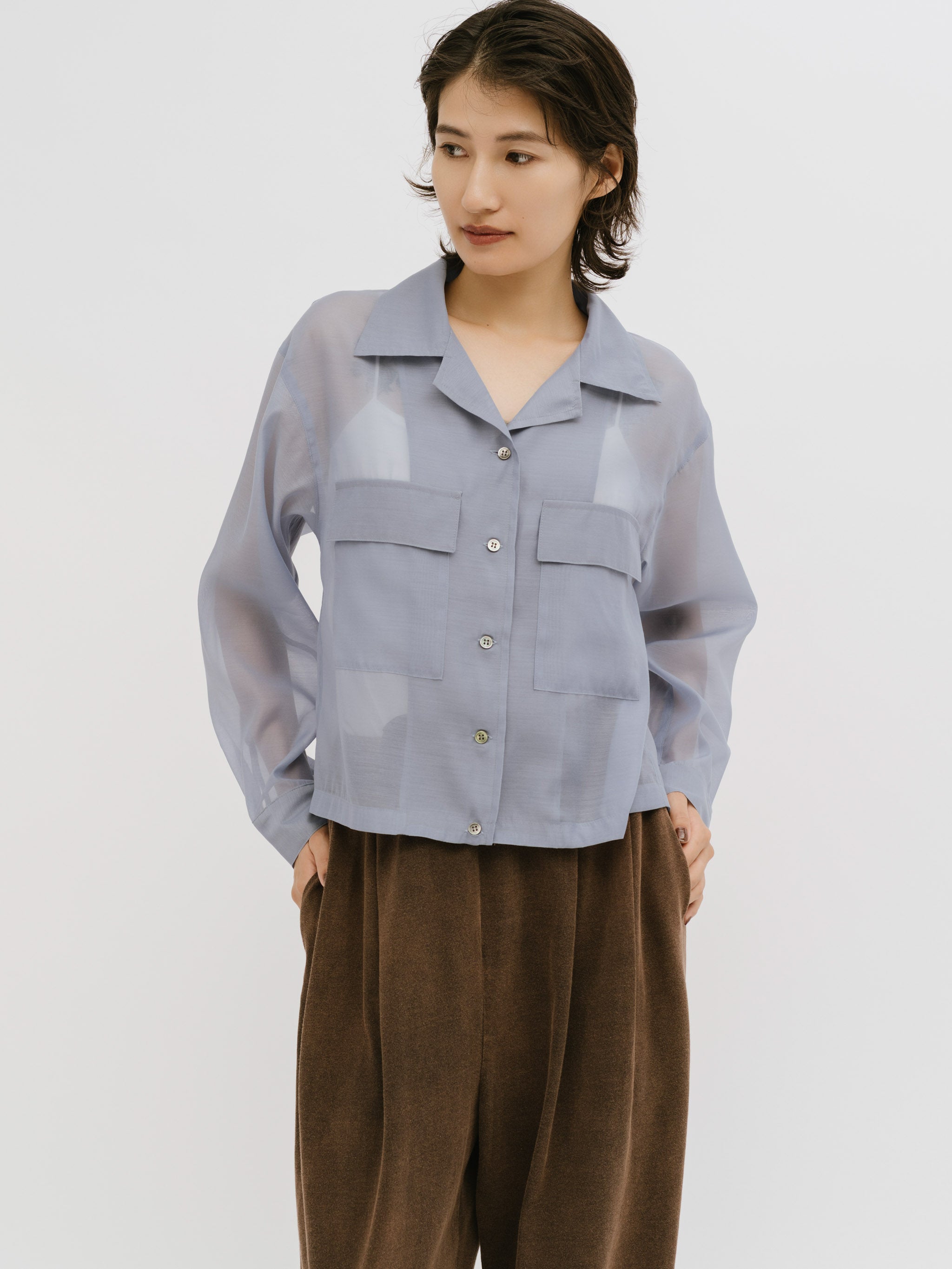 open collar sheer shirt