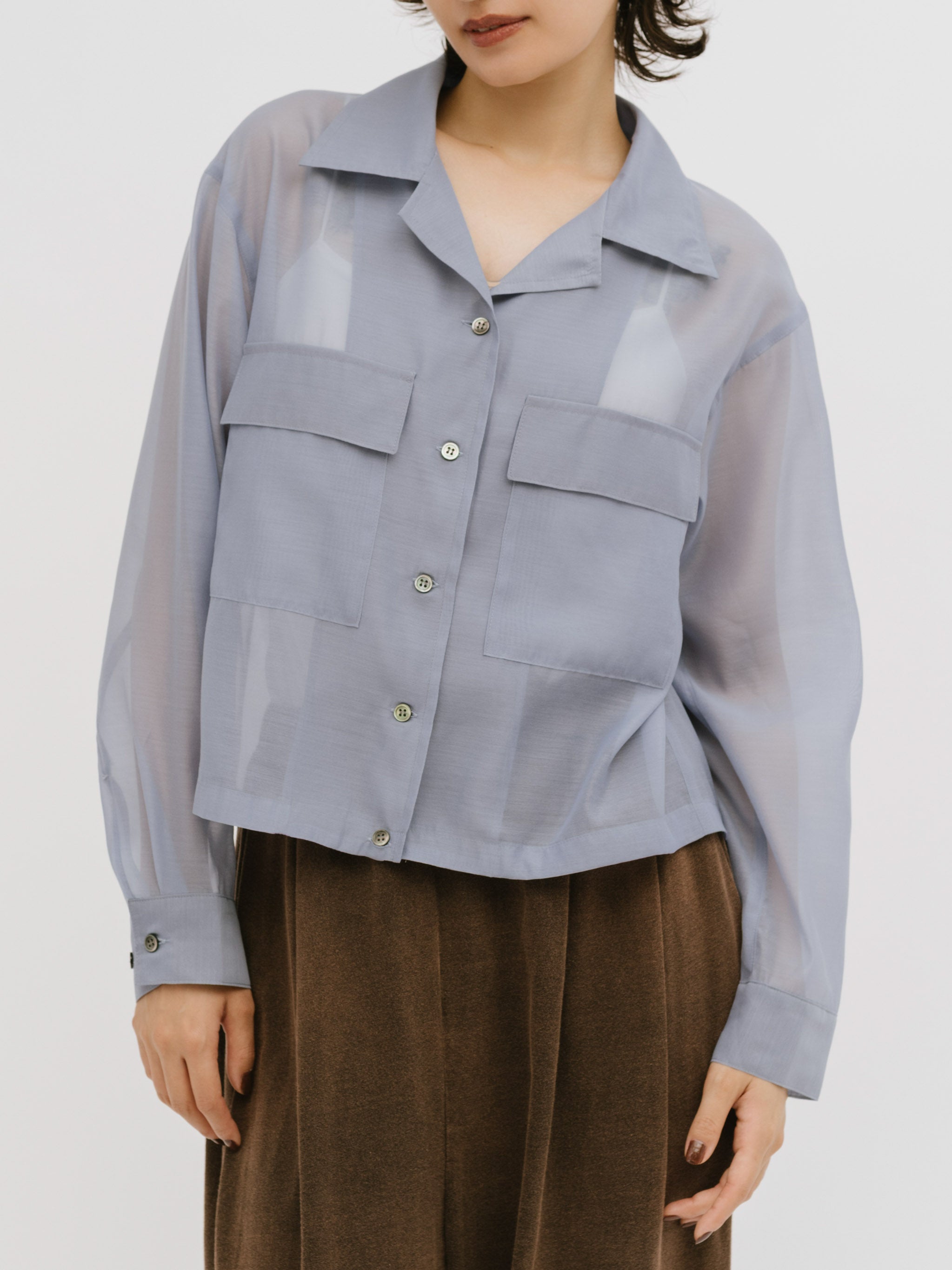 open collar sheer shirt